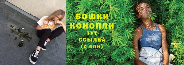 дживик Михайлов