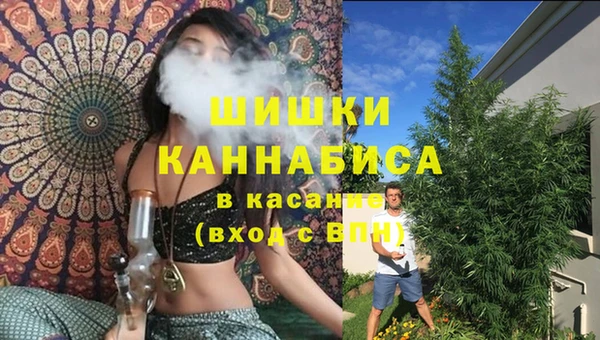 стафф Михайловка