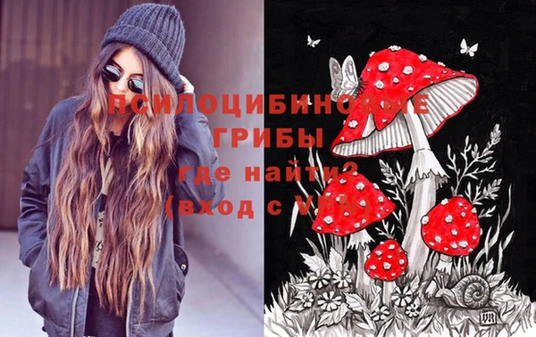 стафф Михайловка