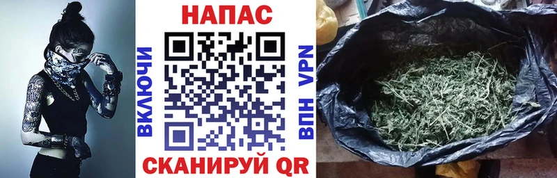 Бошки Шишки планчик Нерехта